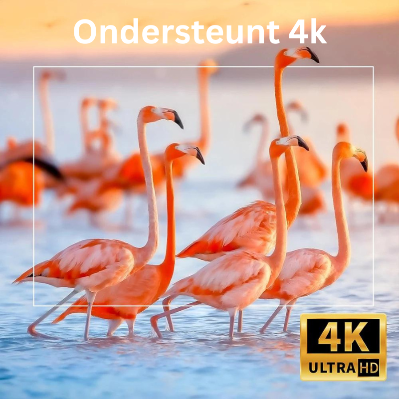 WonderCast™ | Slimme 4K/HD-projector