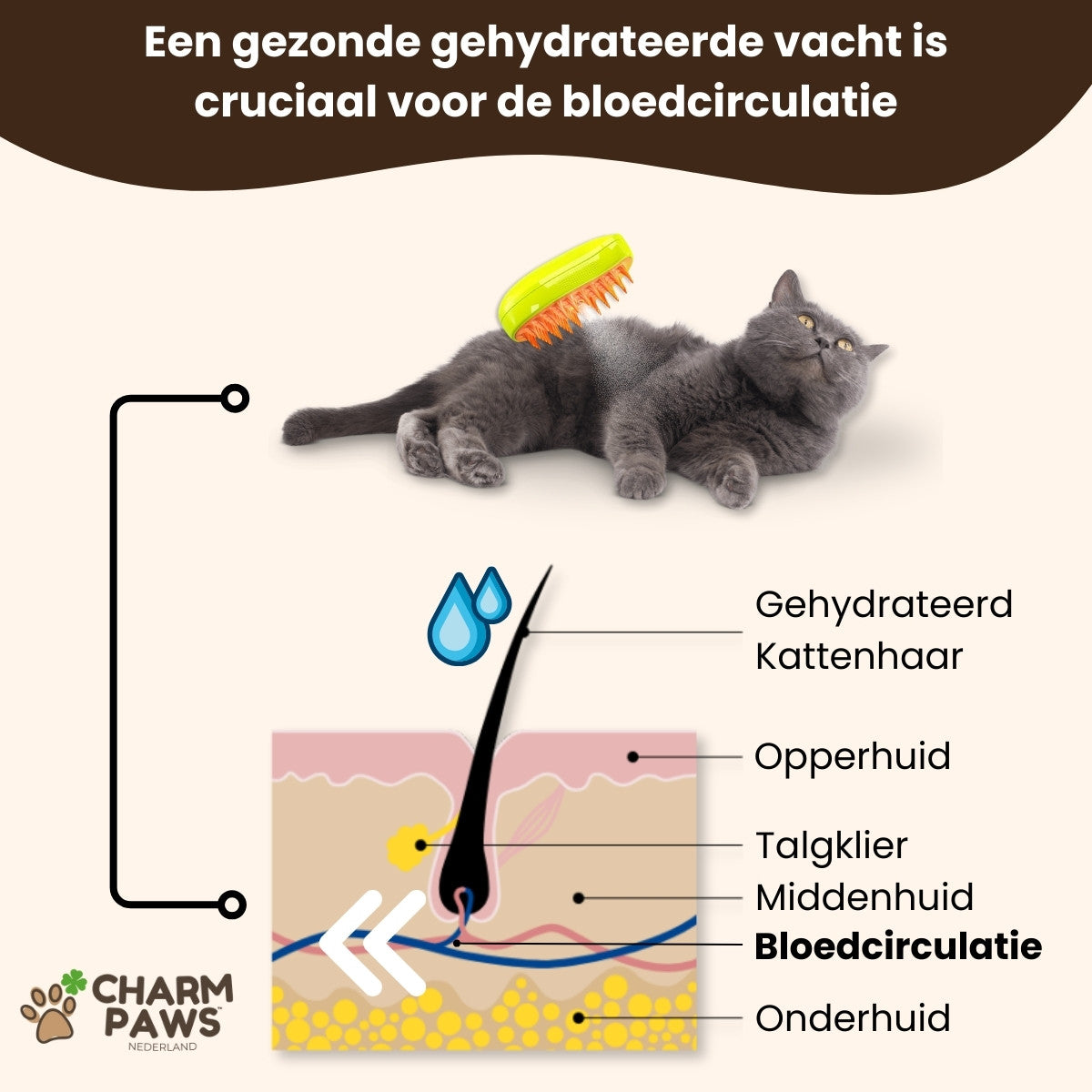 CharmPaws™ Vacht Verfrissende Stoomborstel