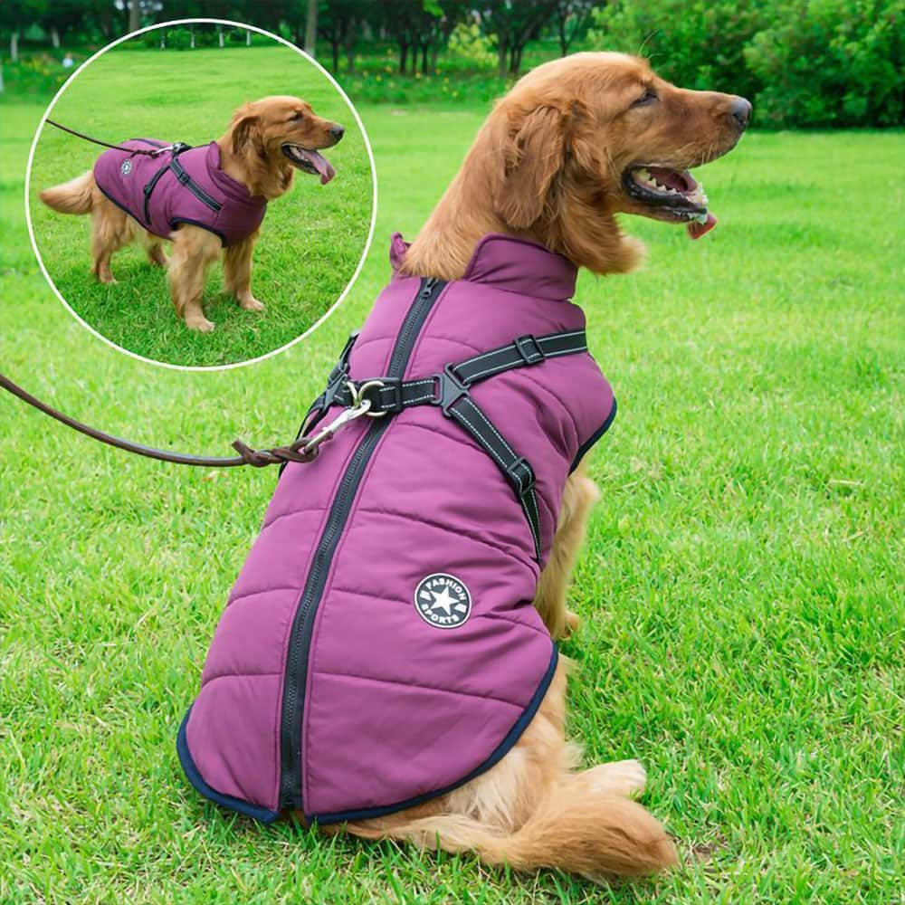 CozyBuddy™ - Waterdichte Winterjas voor Honden met Ingebouwd Harnas - Zevara