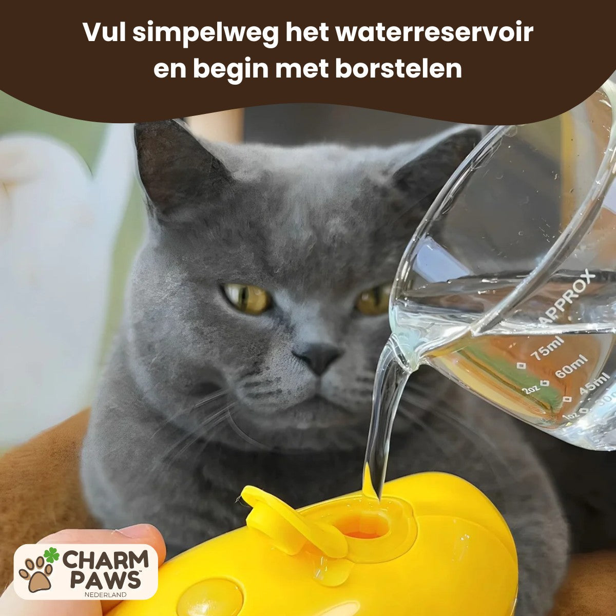 CharmPaws™ Vacht Verfrissende Stoomborstel